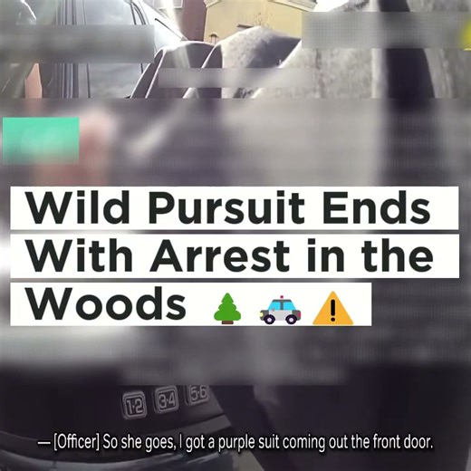 Search Operation Concludes After Suspect Located in Wooded Area 🚓🌲 Officers complete a coordinated response that ends with a suspect being safely located and taken into custody following an extended search. This incident highlights why following lawful instructions and understanding public safety procedures can prevent risks for everyone involved ⚖️ #PublicSafety #LawEnforcement #CommunityAwareness #KnowTheLaw | Code 360