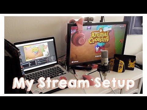 How I Stream 🌼 (Switch Streaming Setup)