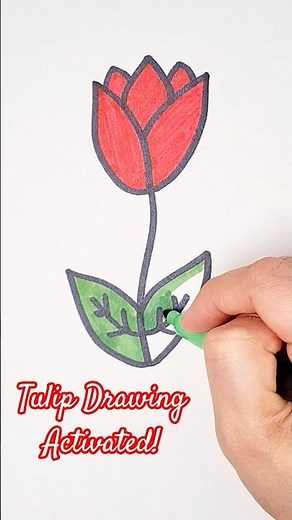 How to Draw a Tulip 🌷 | Easy Flower Drawing for Beginners #Shorts