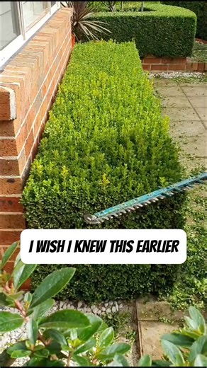 2K views | Most Super funds decide where your money goes — but with an SMSF, you’re in control. If your combined Super is over $150K, you could use it to buy property and grow your future on your terms. Simple setup, expert guidance, no upfront cash.  Take the quick quiz to see your options. | Super Smart | Facebook