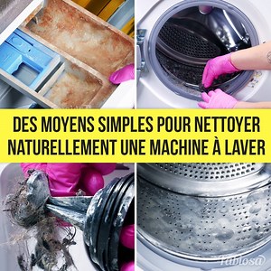 Nettoyez une machine à laver pour éliminer le calcaire, la moisissure et la saleté ! | Femme Heureuse