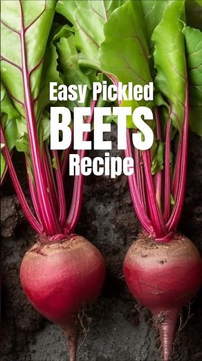 Easy Homemade Pickled Beet Recipe