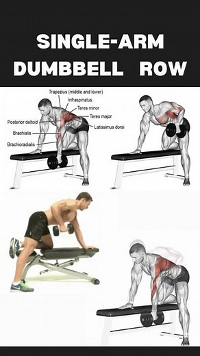 How To One Arm Dumbbell Row || How to Perfect Single Hand Dumbbell Row