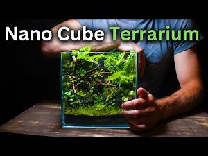 I Built An ECOSYSTEM Inside a Nano Cube Tank! Step By Step Tutorial