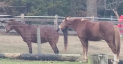 See top trending videos on MSN Watch