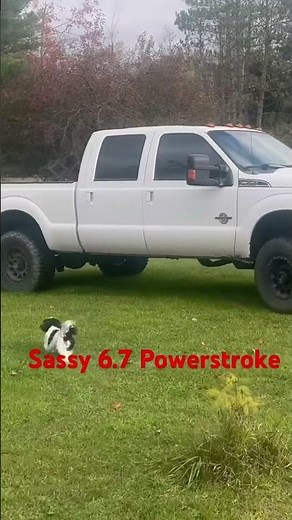 6.7 powerstrokes always sound mean