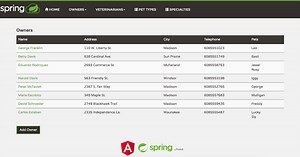 Spring Boot Angular Petclinic Project | GitHub