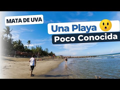 Playas De Mata De Uva En Veracruz | Una Belleza Escondida