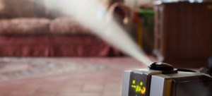 How to Clean Humidifier Wick Filter | DoItYourself.com