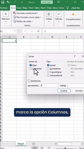 Learn Excel in our 3-level course