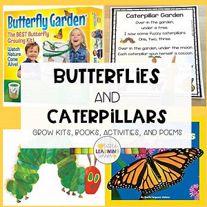 Butterflies and Caterpillars |   Books, Activities, Free Printable for Kids - Little Learning Corner
