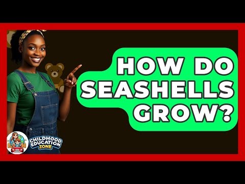 How Do Seashells Grow? - Childhood Education Zone