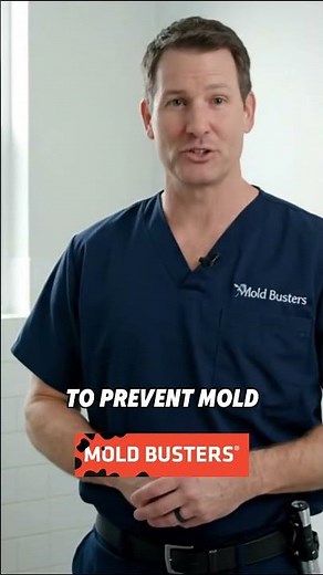 🚽 Mold in Toilets: Hidden Danger & How to Prevent It 🦠✨