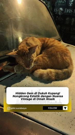Omah Wasik Surabaya - Kafe Vintage Cozy di Dukuh Kupang Timur