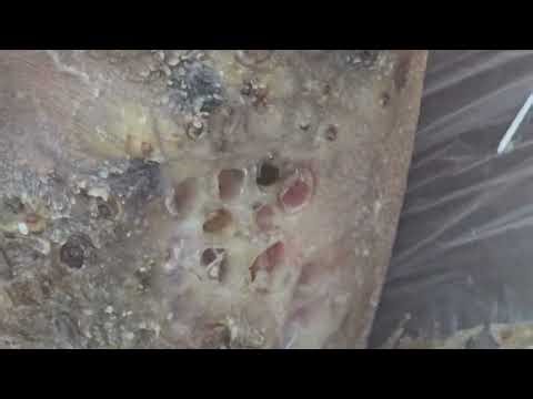 Robert Bulimo heavily jigger packed #1 - long videos @riseupsociety.net & @ruskenya.org