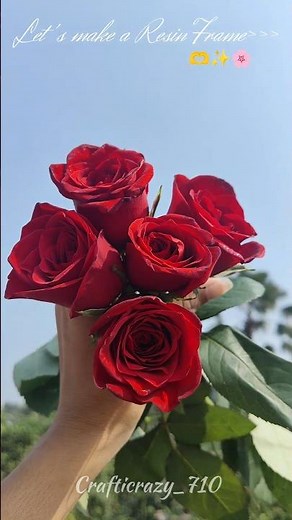 How to Dry Real Rose for Resin | Silica Gel Method | Part 1 🌹