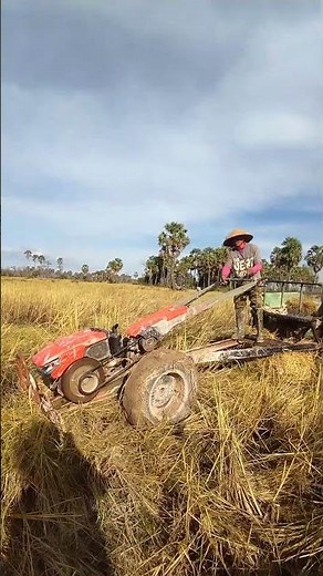 VS4969, Kubota RT140 Vs RT120 vs ZT140 small truck Walking tractor #shorts