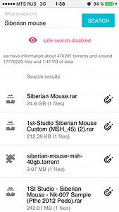 1st studio siberian mouse video
