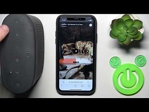 BOSE SOUNDLINK COLOR II：全ての操作とジェスチャー