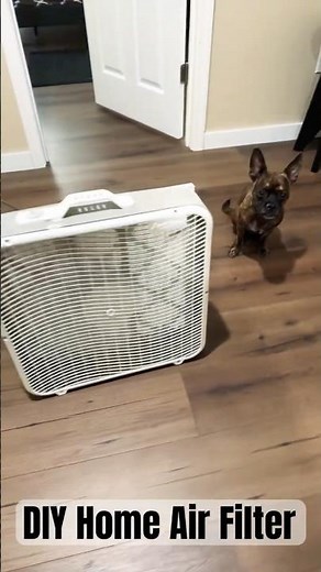 Box Fan Emergency Home Air Filter