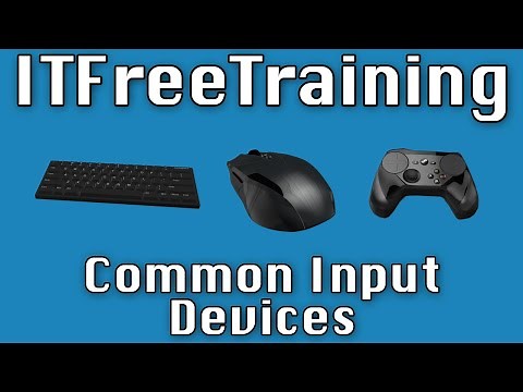 Common Input Devices
