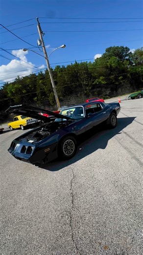26K views · 560 reactions | 1981 Pontiac Trans Am $15,900 Maplemotors.com #2675 #cars #forsale #transam #ta #pontiac #carsforsale #carporn #oldies #classics #hotrods #musclecars #1981 #sportscars | Maple Motors | Facebook