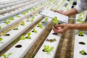 The Complete Guide to Employers Liability Insurance