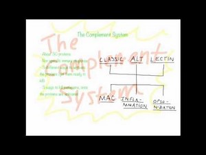 Complement System Overview