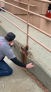 Transforming a Dangerous Ramp into a Safe Step
