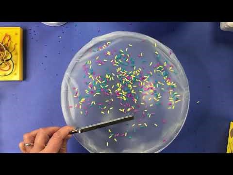 LIVE DEMO: 4 Simple Sound Science Projects