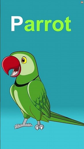 Alphabet Song | Phonics Song ‪@ZingyKidz‬ Nursery Rhymes and Baby Songs