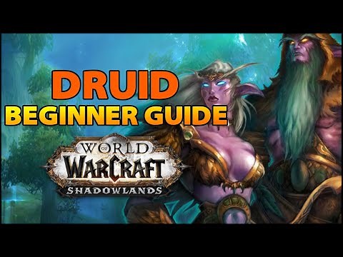 Druid Beginner Guide | Overview & Builds for ALL Specs (WoW Shadowlands)