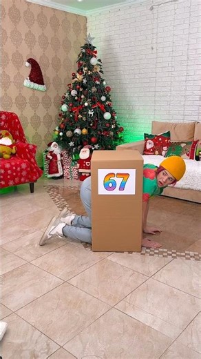 The Mysterious Box #67 ✨📦