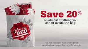 114K views · 459 reactions | Kick off the holidays with the 20% Off Bag Sale! Save on almost any item that fits inside the bag this Saturday & Sunday! | Ace Hardware | Facebook