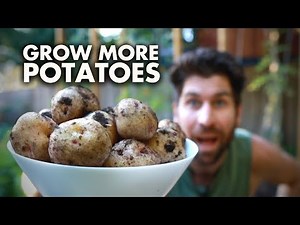 How to Grow Potatoes Step-by-Step Video Guide!