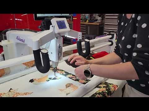 Edge to Edge quilting using Pro-Stitcher