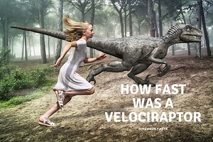 How Fast Was A Velociraptor? - Dinosaur Facts For Kids