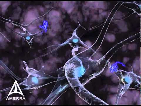 Neurotransmission - 3D Medical Animation