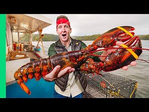 How Lobstermen Trap Giant Lobsters in Maine!!