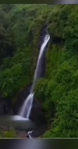 #amharatiktok💚💛❤️አማራ #foryoupage | Amharic Language