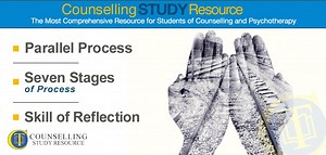 002 – Parallel Process – Seven Stages of Process – Skill of Reflection • Counselling Tutor