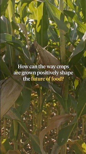 Paid content for ‪@PepsiCo‬