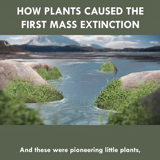 How Plants Caused The First Mass Extinction | Eons • PBS