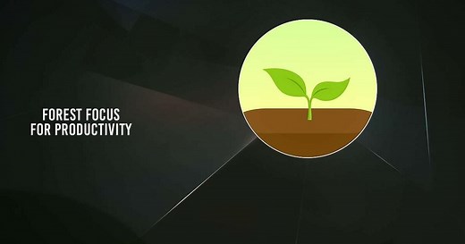 Download and run Forest: Focus for Productivity on PC & Mac (Emulator)