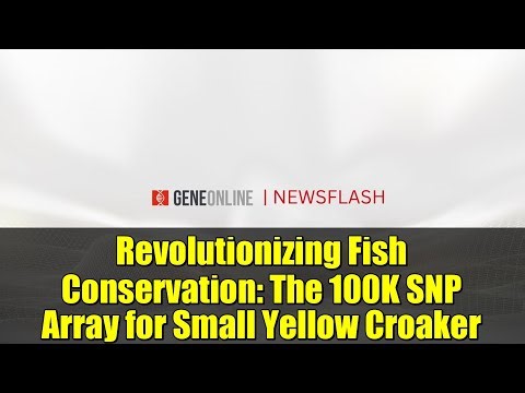 Revolutionizing Fish Conservation: The 100K SNP Array for Small Yellow Croaker