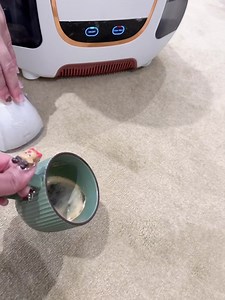 245K views · 1K reactions | 太厉害了这个！！！ 以后你们的sofa还有carpet有救了 妈呀 | Room II Collection | Facebook