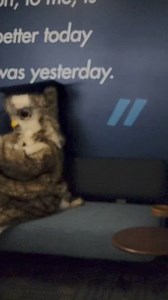 8.1K views · 37 reactions | Have you heard of WGU’s online library? ...