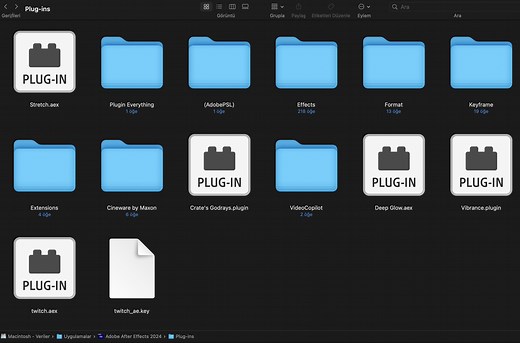 How to Install .AEX Plug-ins?