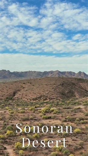 Arizona Sky 🌵 | Sonoran Desert Views