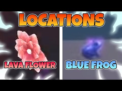 BLUE FROG & LAVA FLOWER LOCATIONS! IN WACKY WIZARDS!